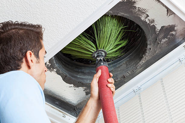 Air Duct Mold Removal in Rocky River, OH